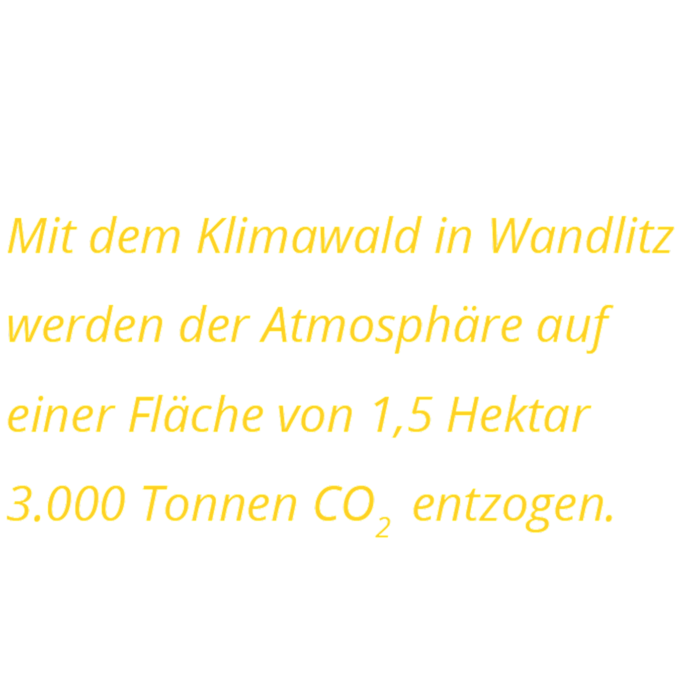 Klimawald-Infotext-Kohlenstoff-3000-EMB